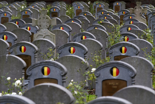To all the brave Belgian men that died so i could be freeDank uMerciThank you