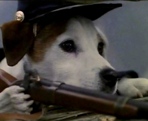 Wishbone in the Civil WarRed Badge of Courage