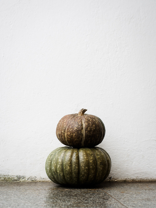 elorablue:Autumn Pumpkins - By Daniella Witte