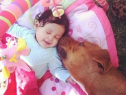 angelclark:  Police shoot pregnant mother’s dog in her own driveway Expectant mother Jessica Cabrera now has a new reason to hate Mondays. Two weeks ago, the gate to her backyard in Sun Valley, Calif. was somehow left open, and her dogs got out. The