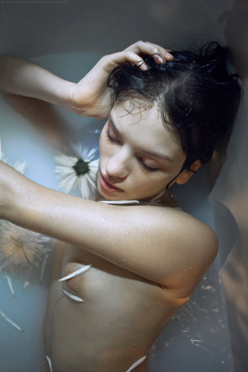 martabevacquaphotos:  marta bevacqua photography
