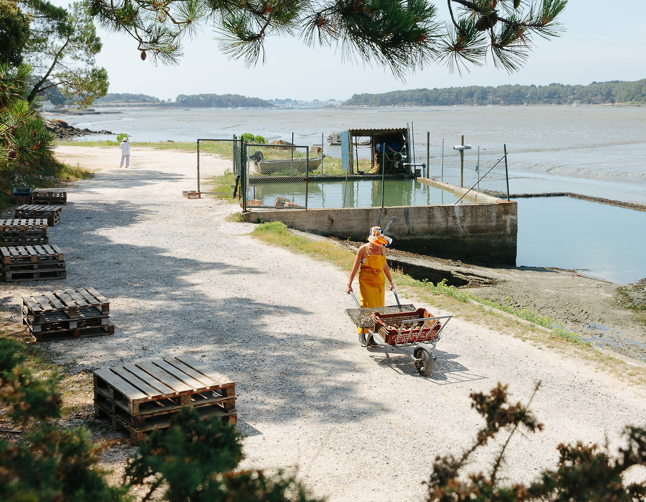 Oyster Farm in Brittany for MONOCLE, summer 2017
(Alex Cretey Systermans)