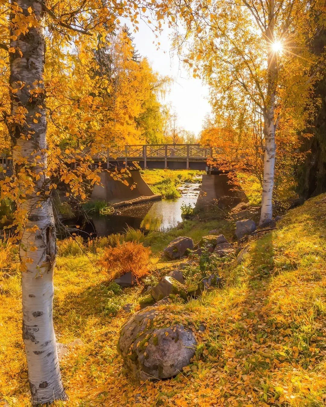 Autumn in Finland 🍂 Follow...