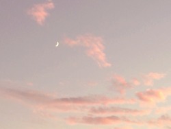 oh-girl-among-the-roses:  the sky earlier