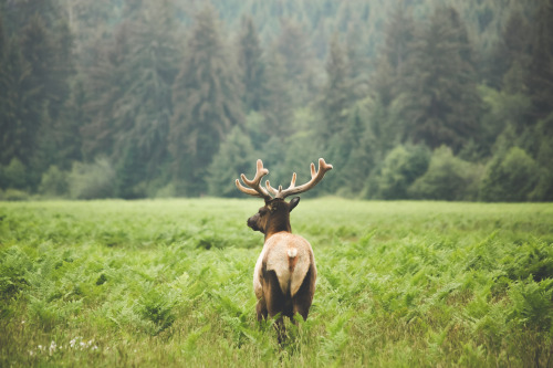 jonahreenders:   The Wandering Project  is now for sale!  All photographs by: Jonah Reenders 