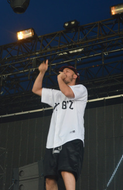 Laurenrenaepain:  Flosstradamus @ Big Day Out 2014