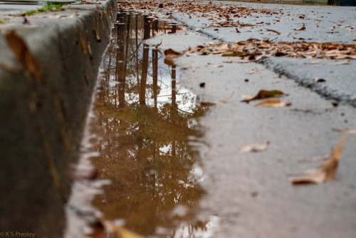 Cold and rainy. Here&rsquo;s to 2019!  . . @prilaga #canadiancinematographer #photography #muddy