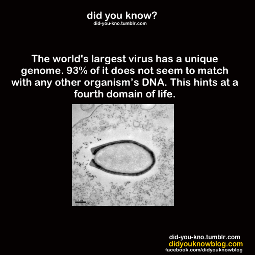 did-you-kno:  Source