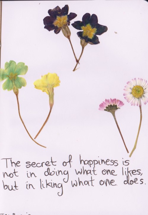 whatever-you-write: The secret of happiness is not in doing what one likes, but in liking what one d