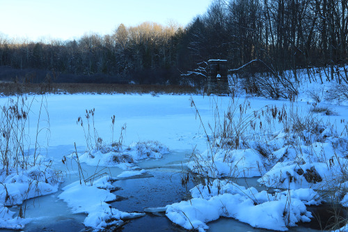 Sometimes the best winter hike is right around the corner. Tibbs Run Preserve at the West Virginia B