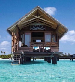 everthekinkier:  COULD FOREVER LIVE HERE!!!