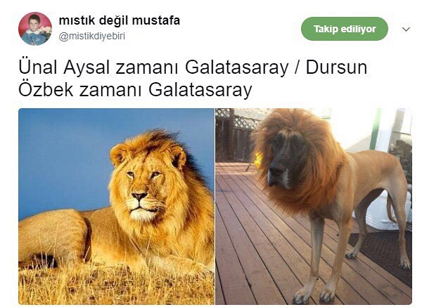 Ünal Aysal zamanı...