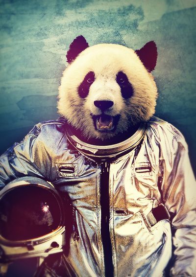 it's fucking space!