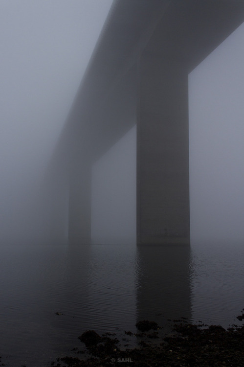 Brigde in fog9 November 2018