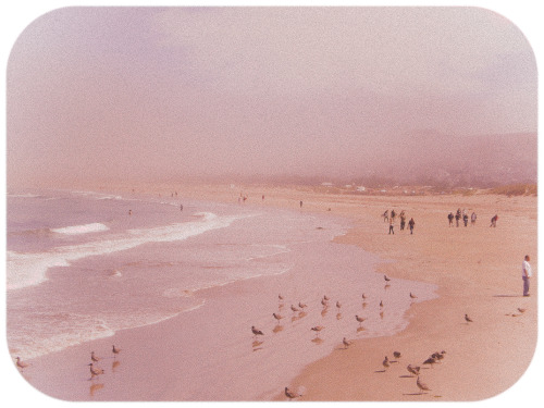 gotraveling:Pacific Coast “All-American” Highway - circa 1972- by Ryan Jackman Follow GoTraveling on