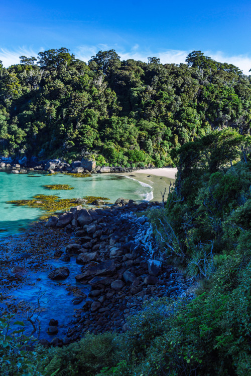 Rakiura aka Stewart Island, “the anchor of NZ.”