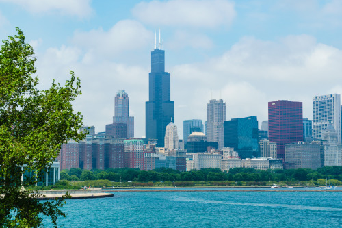  Chicago - Illinois - USA (by Philip N Young) 