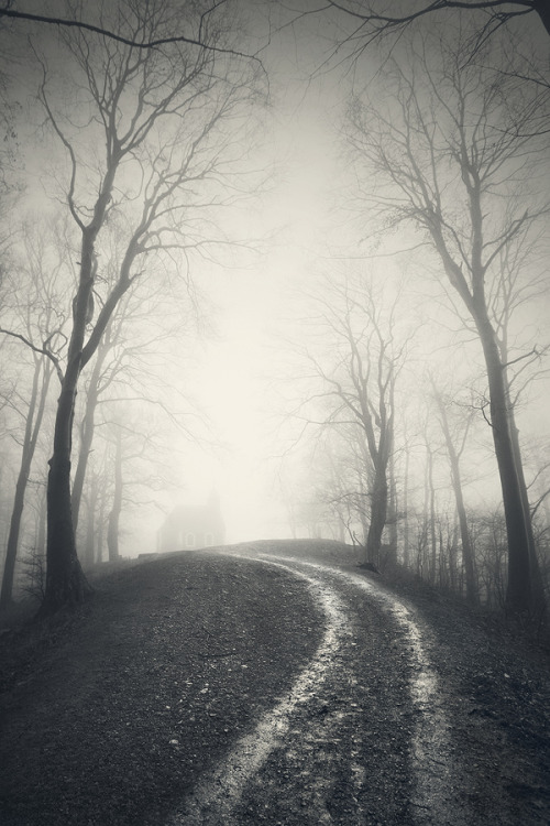 Road to Nowhere Robert Pavic