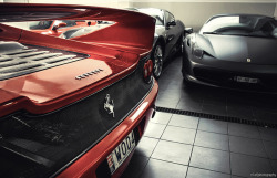 nistphotography:  FerrariZ. on Flickr. Via Flickr:Like me on Facebook 