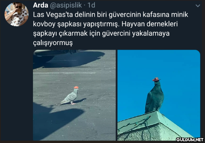 Ne güzel işte kafasına...