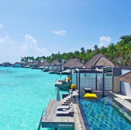scurvelifestyle:#Swim to each others places @chevalblancrandheli #maldives @michutravel #hotel #reso