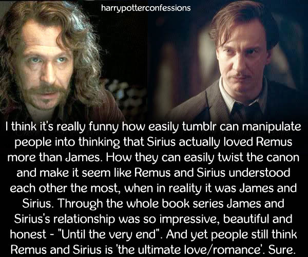 harry potter confessions. — I think it's really funny how easily tumblr  can...