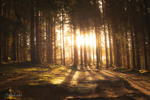 First Light by Fredrik Lindedal website | facebook | instagram