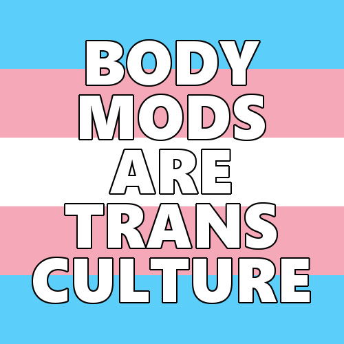 queerlection:[Image description - Image of the trans pride flag with the text: BODY MODS ARE TRANS C