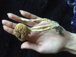psychedelic-freak-out: One of the crazy mushrooms I got 
