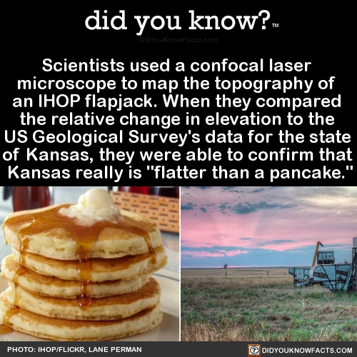 did-you-kno:  Scientists used a confocal laser  microscope to map the topography of  an IHOP flapjack. When they compared  the relative change in elevation to the  US Geological Survey’s data for the state  of Kansas, they were able to confirm that