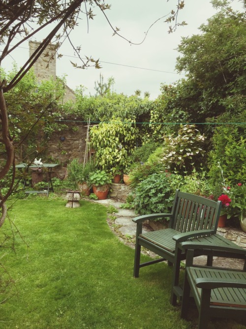 The garden of our beautiful holiday cottage in Yorkshire