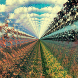 monolithzine:  Album art by Leif Podhajsky for Innerspeaker by Tame Impala