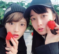 sakamichi-steps:  若月佑美 + 橋本環奈 × イチゴ狩り若月佑美 on Instagram 2019.02.03 00:14