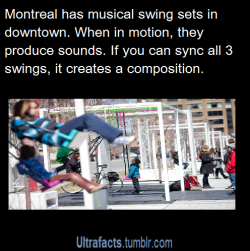 pizzaismylifepizzaisking:  ultrafacts:  Source For more facts, Follow Ultrafacts  There is also a swing called the “Waterfall swing”  Source 