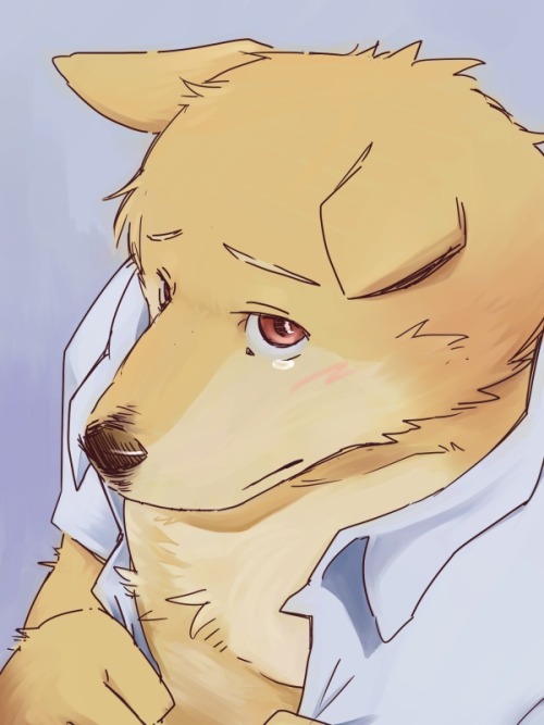 9kitsune:  Artist: ことり 