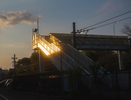 2021.05.03風もなく快晴。サイクリング日和です。野川を目指して30分ほど自転車をこぎました。川沿いの田んぼにも小さな稲が植えられ陽光を一身に浴びていました。子供のころ、家の屋根にのぼって夏風に