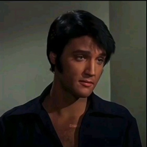  Dilf Vibes Elvis 𐙚˙⋆.˚ ᡣ𐭩