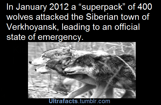 ultrafacts:  Source See more facts Here