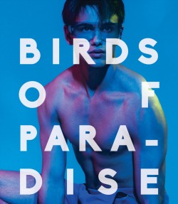 exam:  BIRDS OF PARADISE
