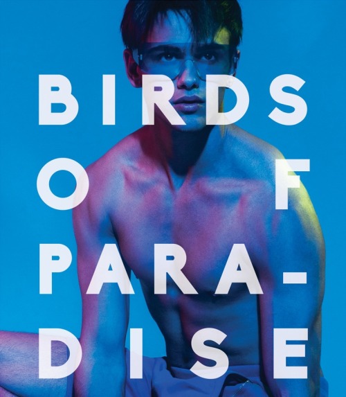 Porn Pics exam:  BIRDS OF PARADISE