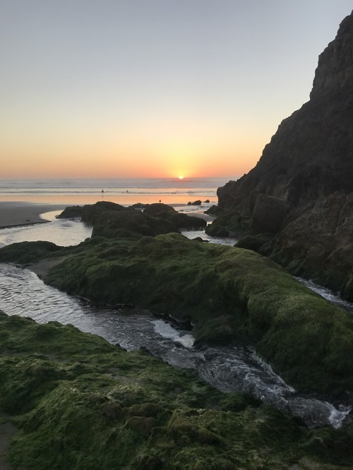 Neskowin BeachOregon Coast, September 2018Our week long coast getaway© Michelle Gefre | Trail the Su