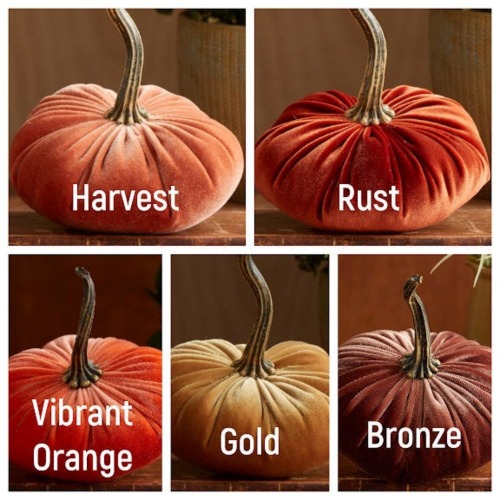 sosuperawesome: Velvet Pumpkins Michelle Rutta on Etsy See our #Etsy or #Pumpkin tags