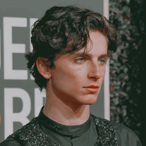 timothée chalamet at the golden globes 2019 icons if it wasn’t it obvious, he dese