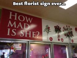 merlinsbearditsthedoctor:  No but I can just imagine a person bursting through the door screaming “I NEED YOUR HELP. IT’S A NINE” and everyone in the shop stops and all collectively goes “Oh shit” and the florists start working frantically while