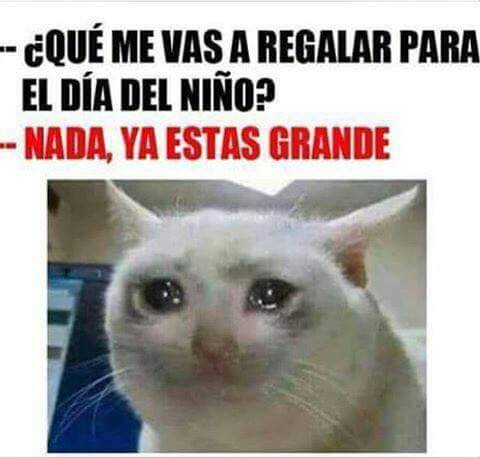 chilefail:  Nooooopo, sólo voy a cumplir 18, soy una niña en mi interior