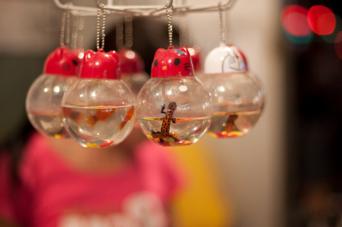 pyropansy: palomaisnothere: halyeah:  sixpenceee:  Vendors in China have been selling live animal ke