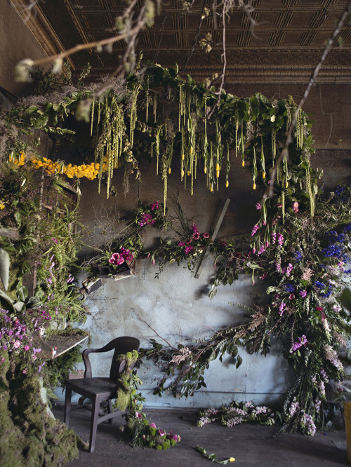 linenandwool:(via lisa waud infills abandoned detroit house with thousands of flowers)