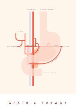 medicalstate:Gastric Subway by smcgaughey. 