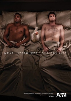 jennytheundying: failnation: New PETA ad looks like two guys had a threesome with a chicken and she completely blew their minds. “we must never speak of this” 