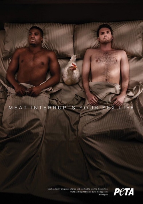 thetruerarkher:nana-bird:failnation:New PETA ad looks like two guys had a threesome with a chicken a